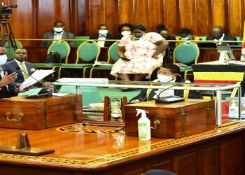 Kiryowa Kiwanuka (standing) makes his point during the committee stage of processing of the bill