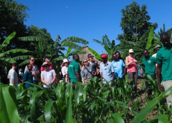 YSB investors visiting one of the farms assisted by Acila Enterprises Limited