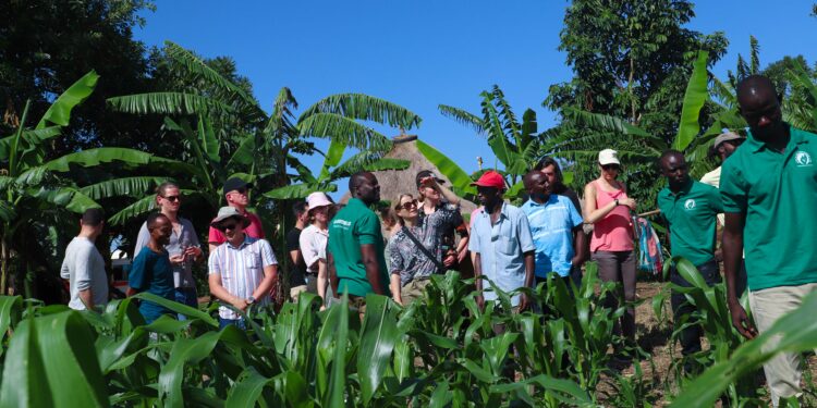 YSB investors visiting one of the farms assisted by Acila Enterprises Limited