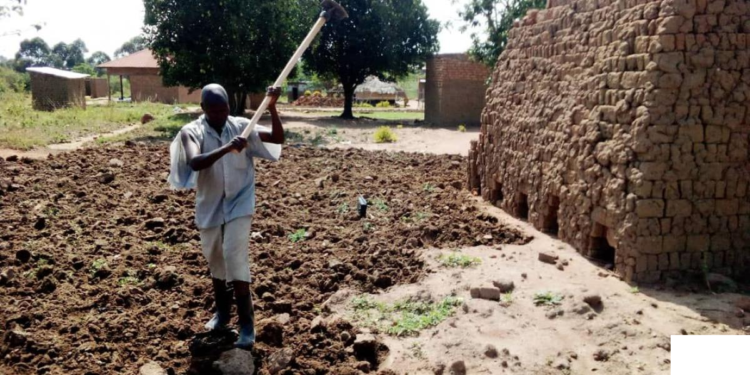 A man cultivating part of koboko airfield land