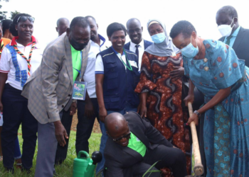 Minister Aisha Sekindi and ED NEMA planting a tree