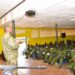 Deputy Coordinator of Operation Wealth Creation Maj. Gen. Sam Kavuma lecturing on Analysis of Uganda’s Under development and the role of leaders in developing Uganda to the Resident District Commissioners, Resident City Commissioners, Deputy Resident Commissioners and Deputy City Commissioners during the induction retreat at the National Leadership Institute (NALI) Kyankwanzi on 28th July 2022. Photo by PPU/Tony Rujuta.