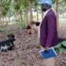 DRDC Gulu district, Mr. Cosmas James Okidi inspect the animals delivered to the youths.