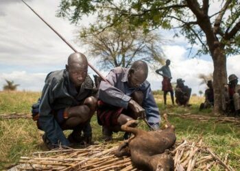 Hungry Karimojongs resort to eating wild animals for survival 