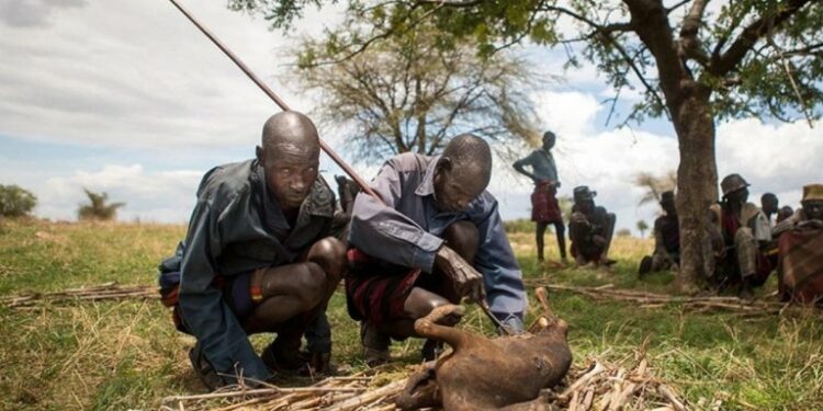 Hungry Karimojongs resort to eating wild animals for survival 