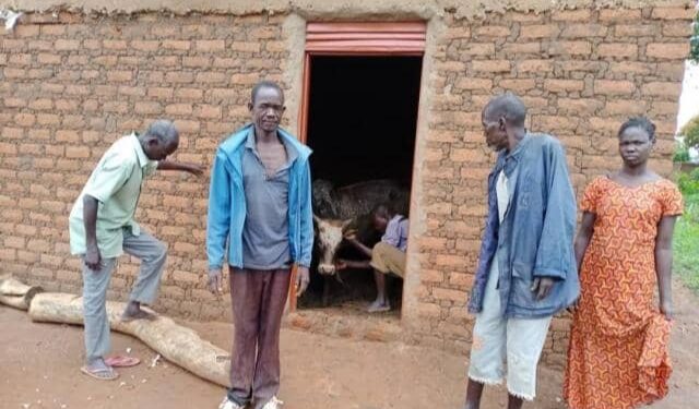 Agago Residents keep their animals in houses