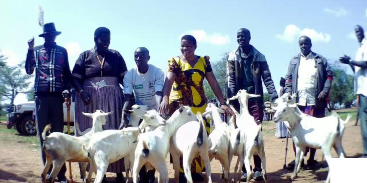 Some of the Stolen Goats