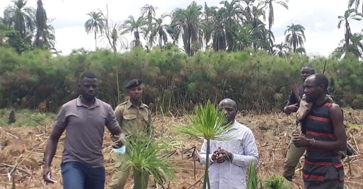 Deputy RDC Tumusiime with the arrested suspects