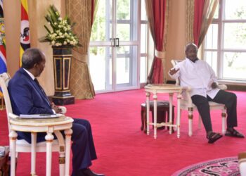 President Museveni with his Somali counterpart Hassan Sheikh Mohamud in a meeting