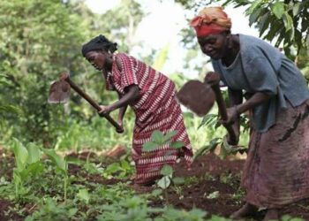 Women and land