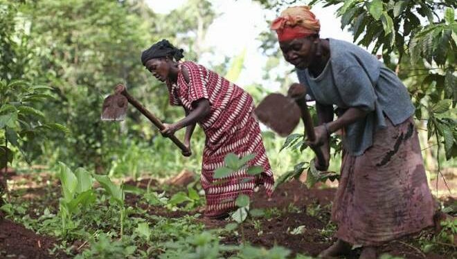 Women and land