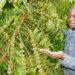 Journalist Dennis Mubiru in a Coffee garden