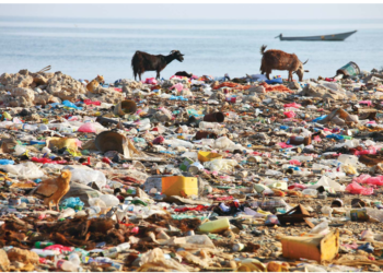 Environmental pollution in Uganda