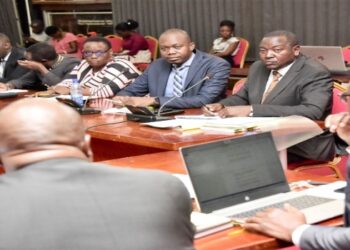 Committee chairpersons (R) appearing before the Budget Committee on Thursday, 19 January 2023