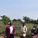 Part of Mujuzi Forest which was cleared for pineapple growing