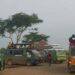 Tour vans at the UWA payment gate in Queen Elizabeth National Park