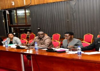 Hon. Kisembo (2nd R) presenting her report before the Budget Committee