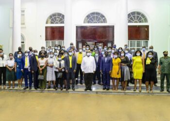 USA and UK Diaspora delegations meet Museveni at State House - Entebbe