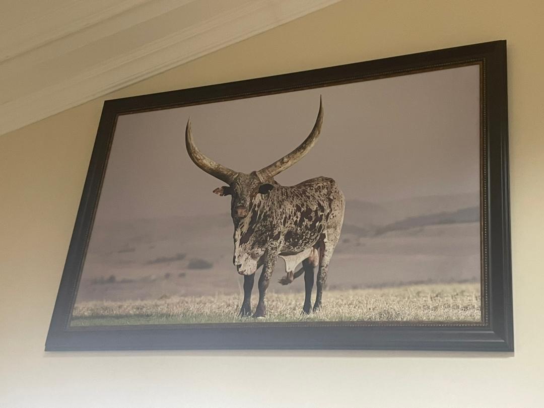 Ankole cattle painting 