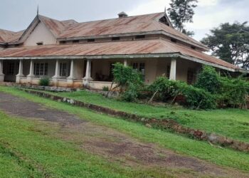 Old State Lodge in Jinja