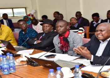 Pastor Male (R) as he made his presentation before the committee