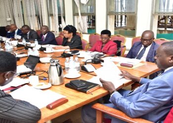 Hon. Muruli Mukasa (2nd R) appearing before the committee chaired by Hon. Onzima (R)