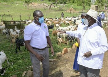 President Yoweri Museveni at Polla Mixed Farm