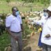 President Yoweri Museveni at Polla Mixed Farm