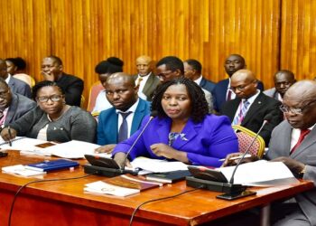 State Minister for Mineral Development, Lokeris (R) and the PS, Bateebe (2nd R) appearing before the Committee on Natural Resources