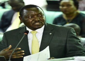 Hon. Otaala, Chairperson of the Committee on Natural Resources