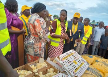 Hajjati Namyalo Centre with a Microphone delivers chicken and chicken feeds to the people of Bukomansimbi