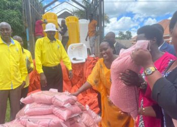 Hon. Mary Begumisa while distributing seeds to the people of Sembabule