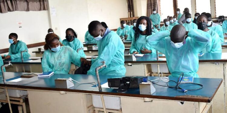 Covab students undertake a training in a lab at their college