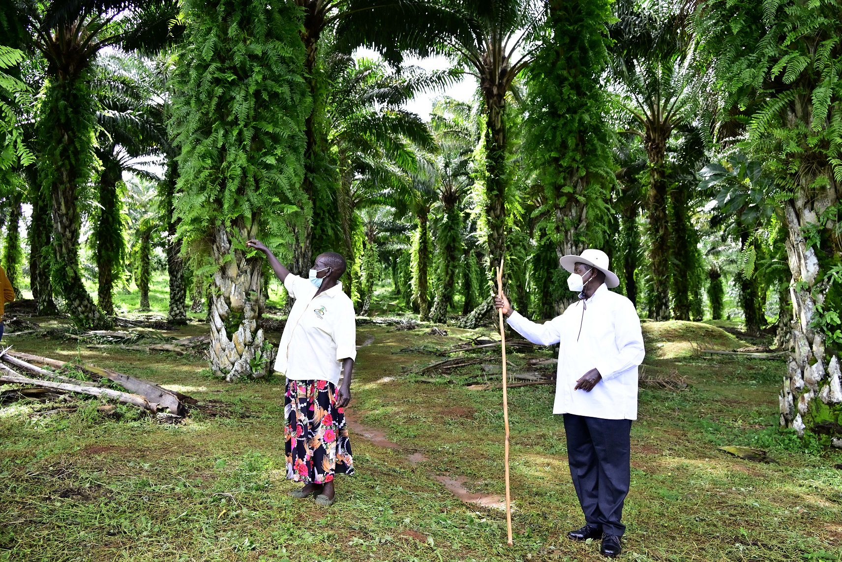 Museveni, Kalangala'daki iki model çiftçiyi ziyaret etti ve Ugandalılara yoksullukla mücadelede onları taklit etmelerini tavsiye etti