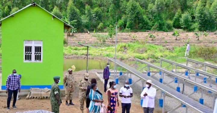 President Yoweri Museveni at Kyesiiga Green Village farming Center
