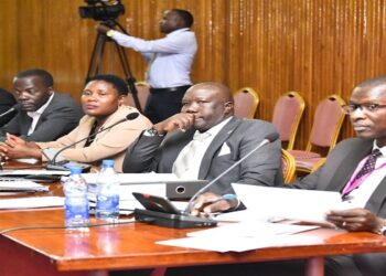 Birungi (R) with colleagues from the financing body appearing before the committee