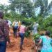 Ggwayambadde's farm is an embodiment of several agroecology practices like agroforestry