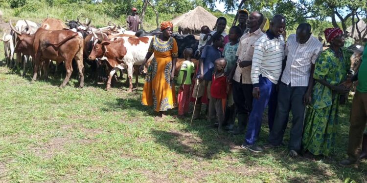 Teso residents with some of the recovered cattle