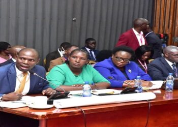 Minister Kabuye Kyofatogabye (L) and the ED, Dorothy Kisaka (Centre in blue) before the committee