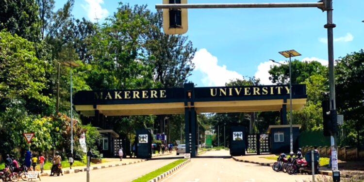Makerere University gate