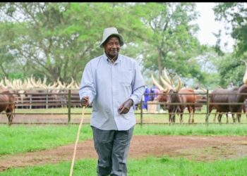 President Yoweri Museveni at his Kisozi farm