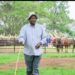 President Yoweri Museveni at his Kisozi farm