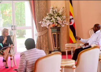 President Museveni in a meeting with H.E Elin Johansen