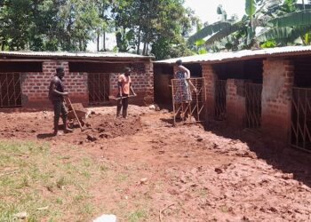 Goretti Tushiime joins the shamba boys to rebuild the paddocks that were destroyed by the Sunday heavy rains.