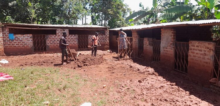 Goretti Tushiime joins the shamba boys to rebuild the paddocks that were destroyed by the Sunday heavy rains.