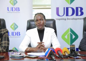 UDB CEO Patricia Ajangole