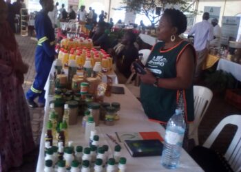 An organic products exhibitor explaining her products to customers at Hotel Africana on Tuesday