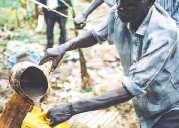 A man filling a jerrycan with tonto