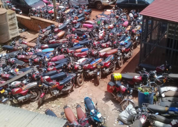 Impounded motorcycles