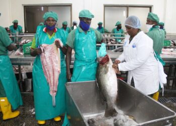 Lt Col Mercy Tuhakirwa at the factory of Lake Eco-Fishing Processing Ltd